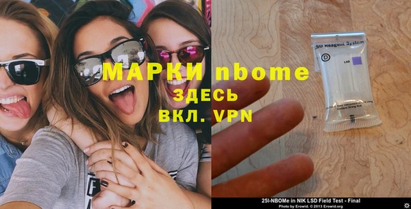 прущие грибы Баксан