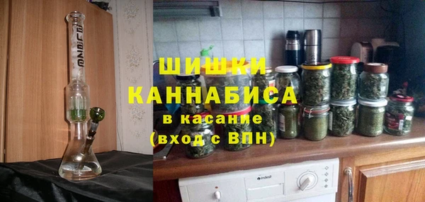 прущие грибы Баксан